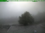 Archived image Webcam Brotterode (Thuringian Forest) 17:00