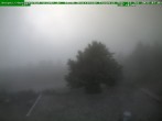 Archiv Foto Webcam Brotterode im Thüringer Wald 06:00