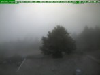 Archiv Foto Webcam Brotterode im Thüringer Wald 07:00