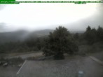 Archiv Foto Webcam Brotterode im Thüringer Wald 07:00