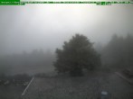 Archiv Foto Webcam Brotterode im Thüringer Wald 09:00