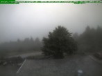 Archiv Foto Webcam Brotterode im Thüringer Wald 11:00