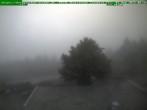 Archiv Foto Webcam Brotterode im Thüringer Wald 05:00