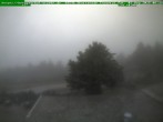 Archived image Webcam Brotterode (Thuringian Forest) 05:00