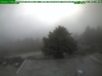 Archiv Foto Webcam Brotterode im Thüringer Wald 07:00