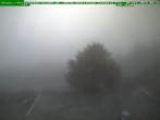 Archiv Foto Webcam Brotterode im Thüringer Wald 07:00