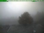 Archiv Foto Webcam Brotterode im Thüringer Wald 07:00