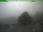Archiv Foto Webcam Brotterode im Thüringer Wald 09:00