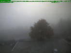 Archiv Foto Webcam Brotterode im Thüringer Wald 13:00