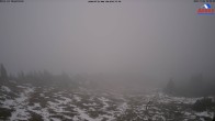 Archived image Webcam Großer Arber mountain 17:00