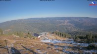 Archiv Foto Webcam Großer Arber - Bayerischer Wald 11:00