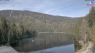 Archived image Webcam Lake "Großer Arbersee" (Bavarian Forest) 09:00