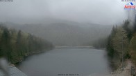 Archived image Webcam Lake "Großer Arbersee" (Bavarian Forest) 04:00