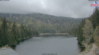 Archived image Webcam Lake "Großer Arbersee" (Bavarian Forest) 08:00
