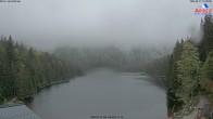 Archived image Webcam Lake "Großer Arbersee" (Bavarian Forest) 11:00