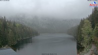 Archived image Webcam Lake "Großer Arbersee" (Bavarian Forest) 13:00