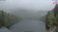 Archived image Webcam Lake "Großer Arbersee" (Bavarian Forest) 15:00
