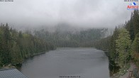 Archived image Webcam Lake "Großer Arbersee" (Bavarian Forest) 06:00