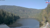 Archived image Webcam Lake "Großer Arbersee" (Bavarian Forest) 09:00