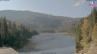 Archived image Webcam Lake "Großer Arbersee" (Bavarian Forest) 13:00