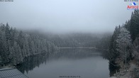 Archived image Webcam Lake "Großer Arbersee" (Bavarian Forest) 06:00