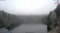 Archived image Webcam Lake "Großer Arbersee" (Bavarian Forest) 07:00