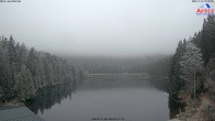 Archived image Webcam Lake "Großer Arbersee" (Bavarian Forest) 09:00