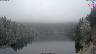 Archived image Webcam Lake "Großer Arbersee" (Bavarian Forest) 11:00