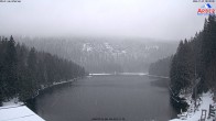 Archiv Foto Webcam Großer Arbersee - Bayerischer Wald 07:00