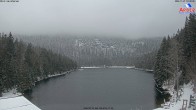 Archiv Foto Webcam Großer Arbersee - Bayerischer Wald 09:00