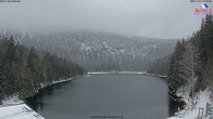 Archiv Foto Webcam Großer Arbersee - Bayerischer Wald 11:00