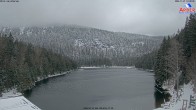 Archiv Foto Webcam Großer Arbersee - Bayerischer Wald 13:00