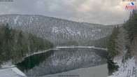 Archiv Foto Webcam Großer Arbersee - Bayerischer Wald 07:00