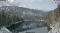 Archiv Foto Webcam Großer Arbersee - Bayerischer Wald 11:00