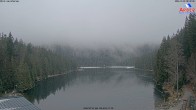 Archiv Foto Webcam Großer Arbersee - Bayerischer Wald 07:00