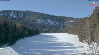 Archiv Foto Webcam Großer Arbersee - Bayerischer Wald 11:00