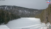 Archived image Webcam Lake "Großer Arbersee" (Bavarian Forest) 09:00