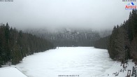 Archiv Foto Webcam Großer Arbersee - Bayerischer Wald 07:00