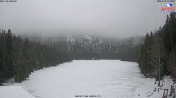 Archiv Foto Webcam Großer Arbersee - Bayerischer Wald 11:00