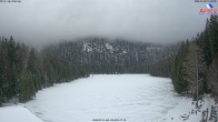 Archiv Foto Webcam Großer Arbersee - Bayerischer Wald 13:00