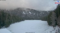 Archiv Foto Webcam Großer Arbersee - Bayerischer Wald 15:00