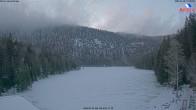 Archiv Foto Webcam Großer Arbersee - Bayerischer Wald 17:00