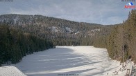 Archived image Webcam Lake "Großer Arbersee" (Bavarian Forest) 09:00