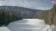 Archived image Webcam Lake "Großer Arbersee" (Bavarian Forest) 11:00