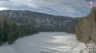 Archived image Webcam Lake "Großer Arbersee" (Bavarian Forest) 13:00