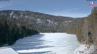 Archiv Foto Webcam Großer Arbersee - Bayerischer Wald 09:00