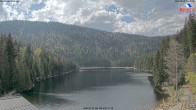 Archiv Foto Webcam Großer Arbersee - Bayerischer Wald 13:00