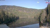 Archiv Foto Webcam Großer Arbersee - Bayerischer Wald 07:00
