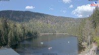 Archiv Foto Webcam Großer Arbersee - Bayerischer Wald 09:00