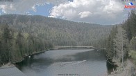 Archiv Foto Webcam Großer Arbersee - Bayerischer Wald 11:00